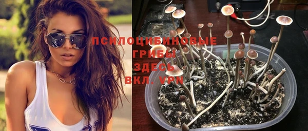 метадон Кукмор
